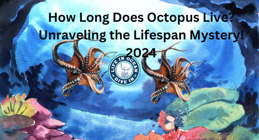 How Long Does Octopus Live? Unraveling the Lifespan Mystery in 2024