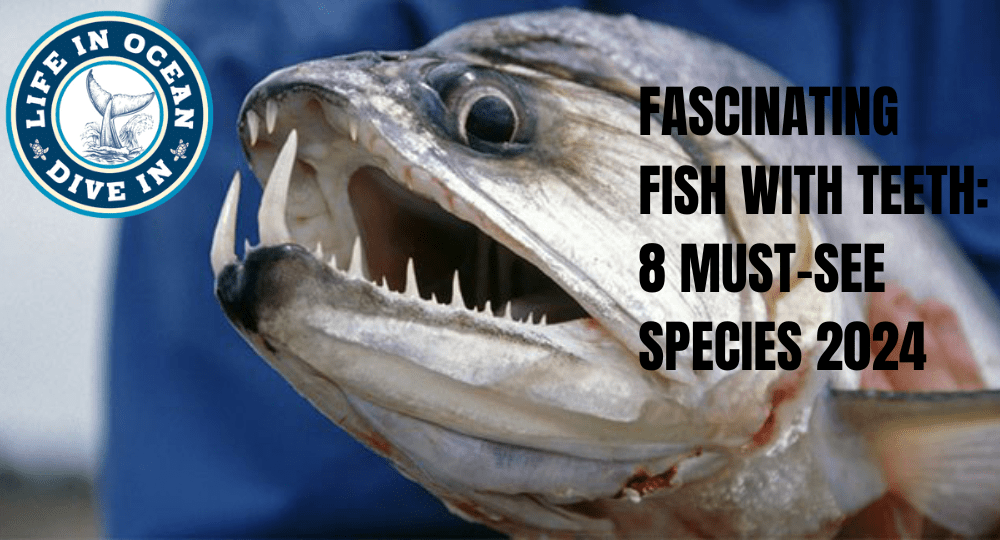Fascinating Fish with Teeth: 8 Must-See Species 2024