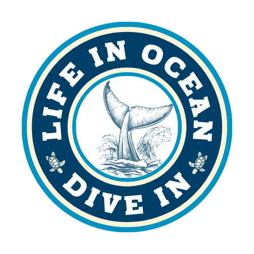 top-decomposers-in-the-ocean-role-and-examples-in-2024-life-in-ocean