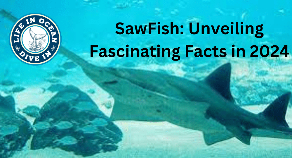 SawFish: Unveiling Fascinating Facts in 2024