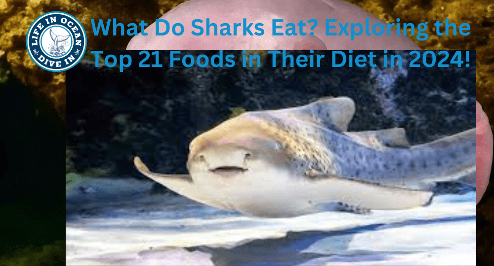 What Do Sharks Eat? Exploring the Top 21 Foods in Their Diet in 2024!