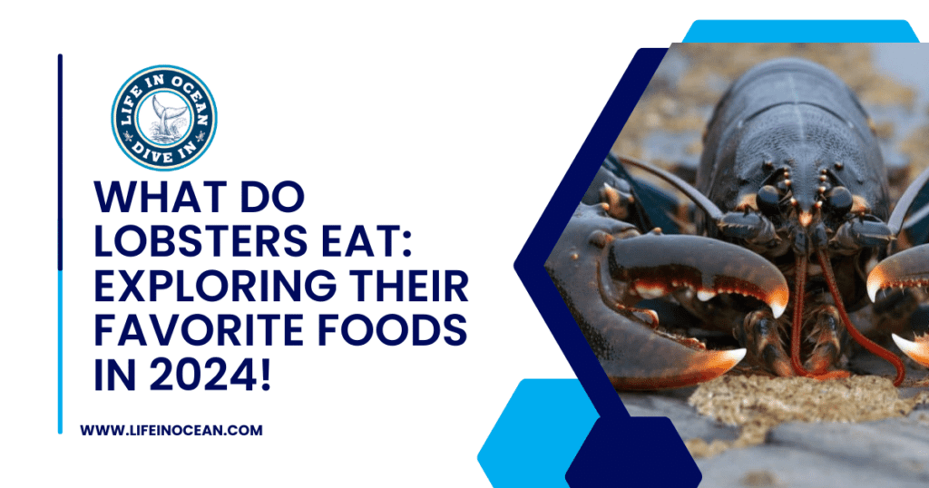 What do Lobsters Eat: Exploring Their Favorite Foods in 2024!