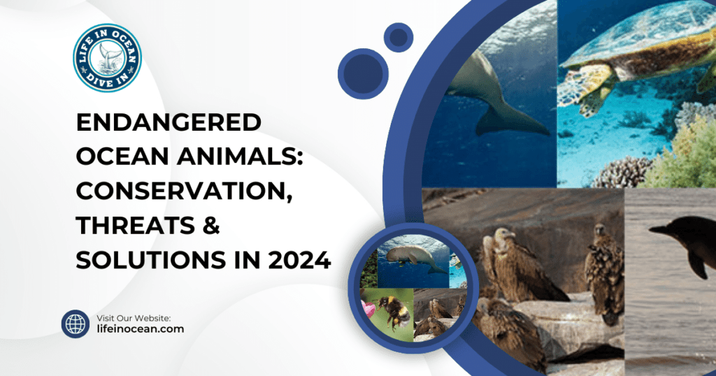 Endangered Ocean Animals: Conservation, Threats & Solutions in 2024