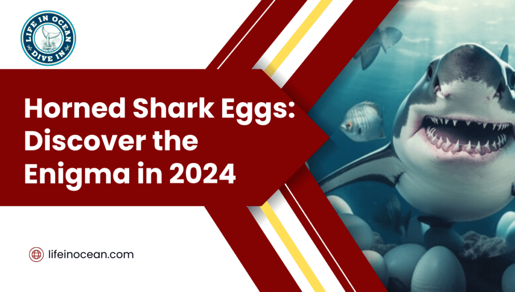 Horned Shark Eggs: Discover the Enigma in 2024