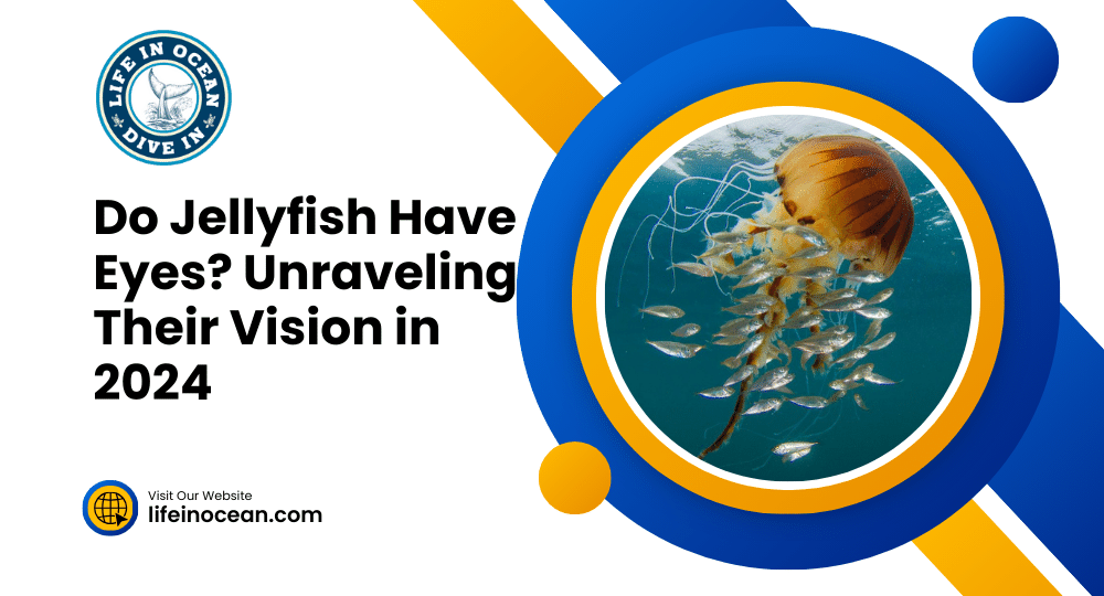 Do Jellyfish Have Eyes? Unraveling Their Vision in 2024