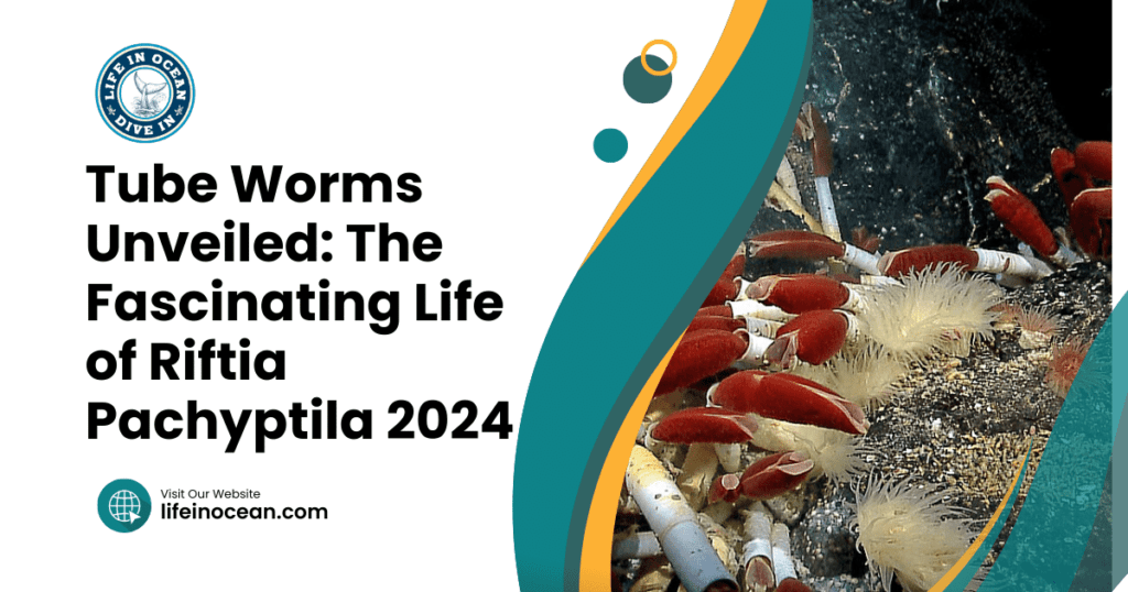 Tube Worms Unveiled: The Fascinating Life of Riftia Pachyptila 2024
