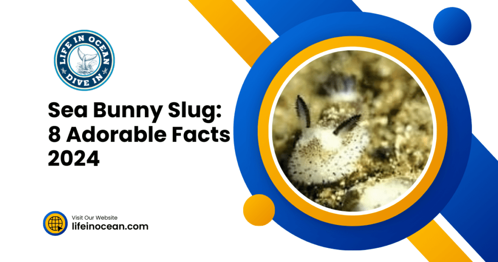 Sea Bunny Slug: 8 Adorable Facts 2024