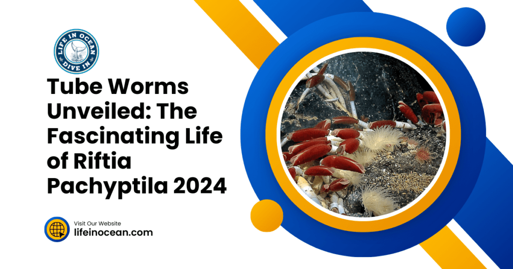 Tube Worms Unveiled: The Fascinating Life of Riftia Pachyptila 2024
