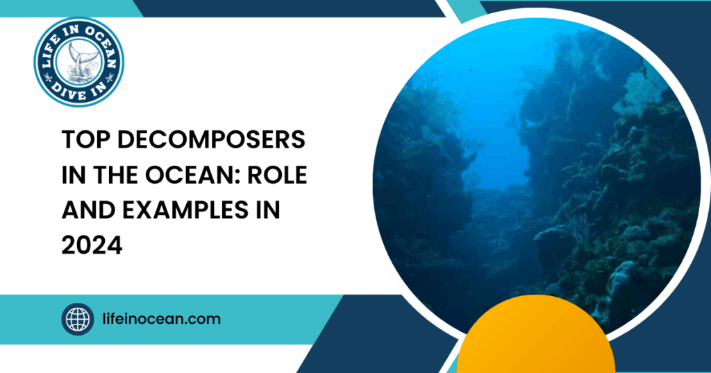 Top Decomposers in The Ocean: Role and Examples in 2024