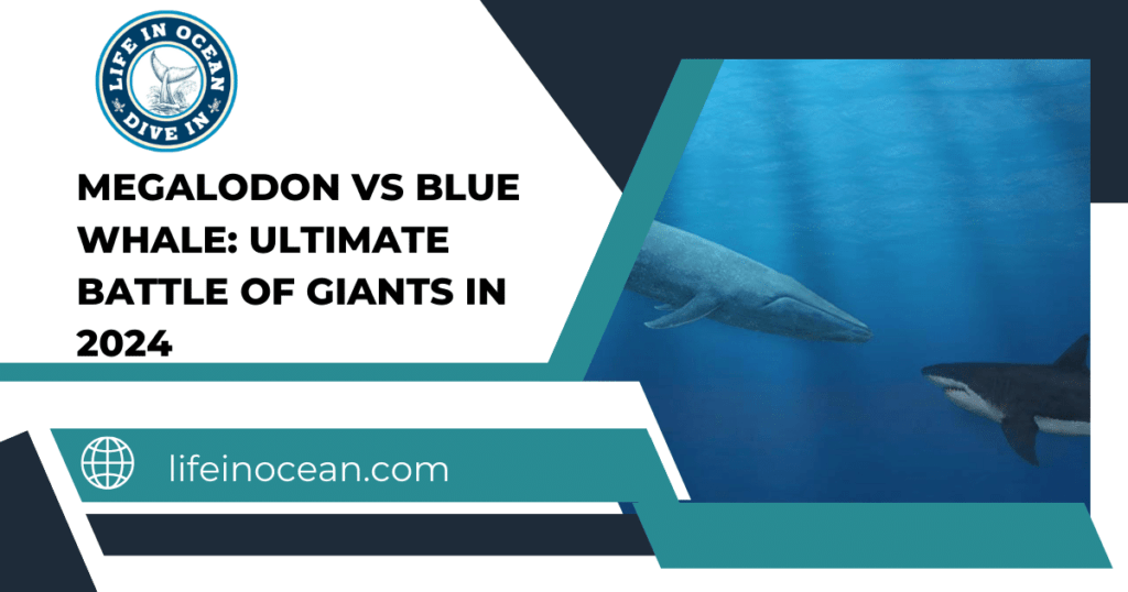 Megalodon vs Blue Whale: Ultimate Battle of Giants in 2024