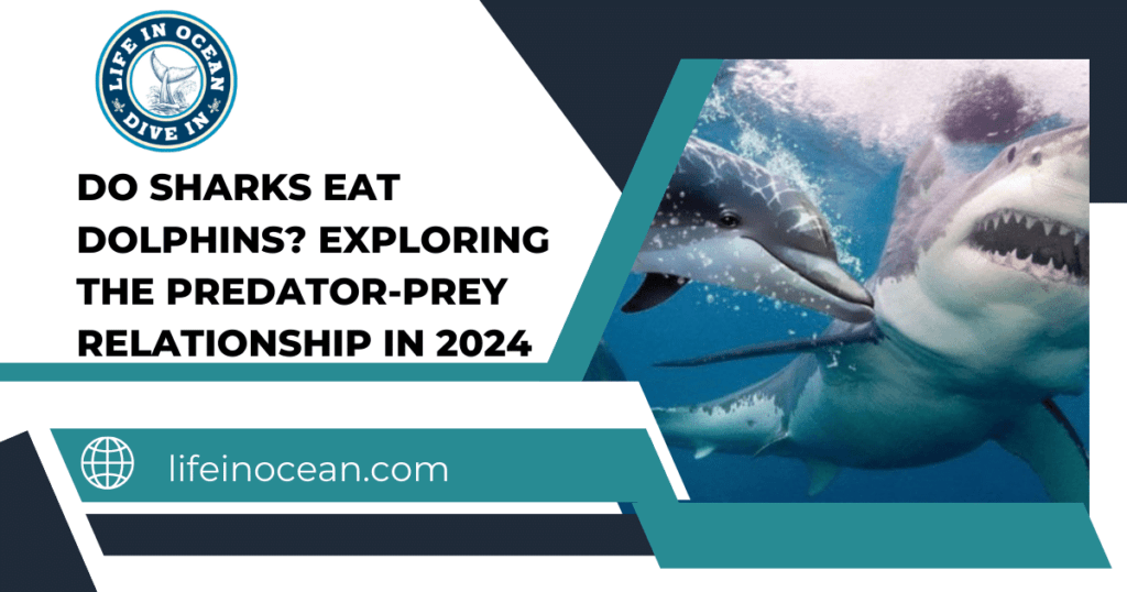 Do Sharks Eat Dolphins? Exploring the Predator-Prey Relationship in 2024