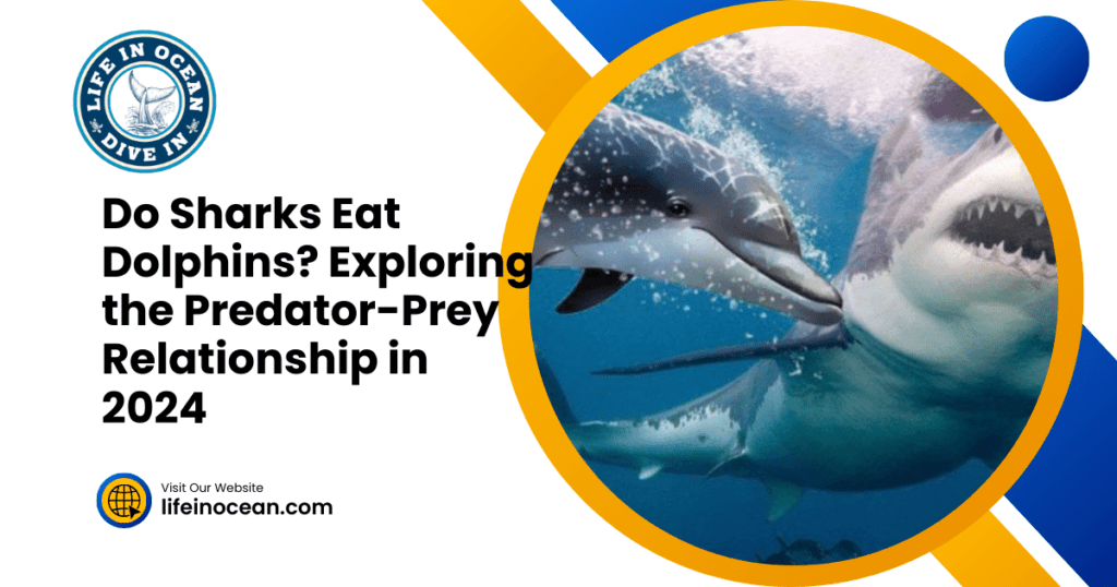 Do Sharks Eat Dolphins? Exploring the Predator-Prey Relationship in 2024