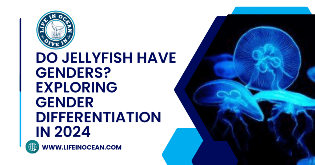 Do Jellyfish Have Genders? Exploring Gender Differentiation in 2024