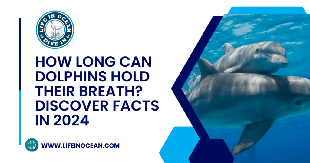 How Long Can Dolphins Hold Their Breath? Discover Facts in 2024