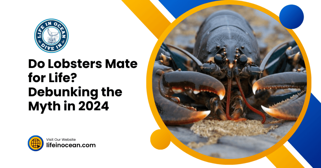 Do Lobsters Mate for Life? Debunking the Myth in 2024