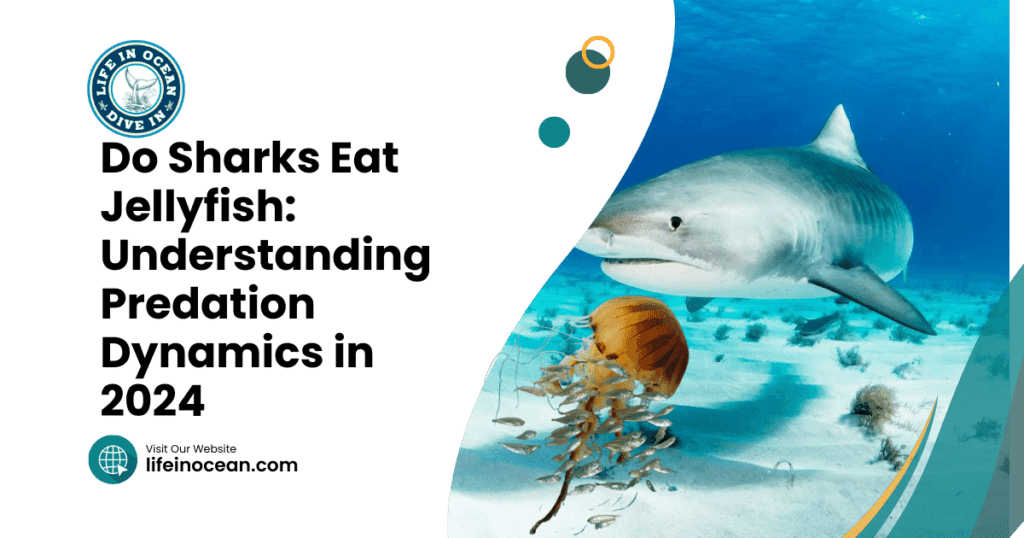 Do Sharks Eat Jellyfish: Understanding Predation Dynamics in 2024
