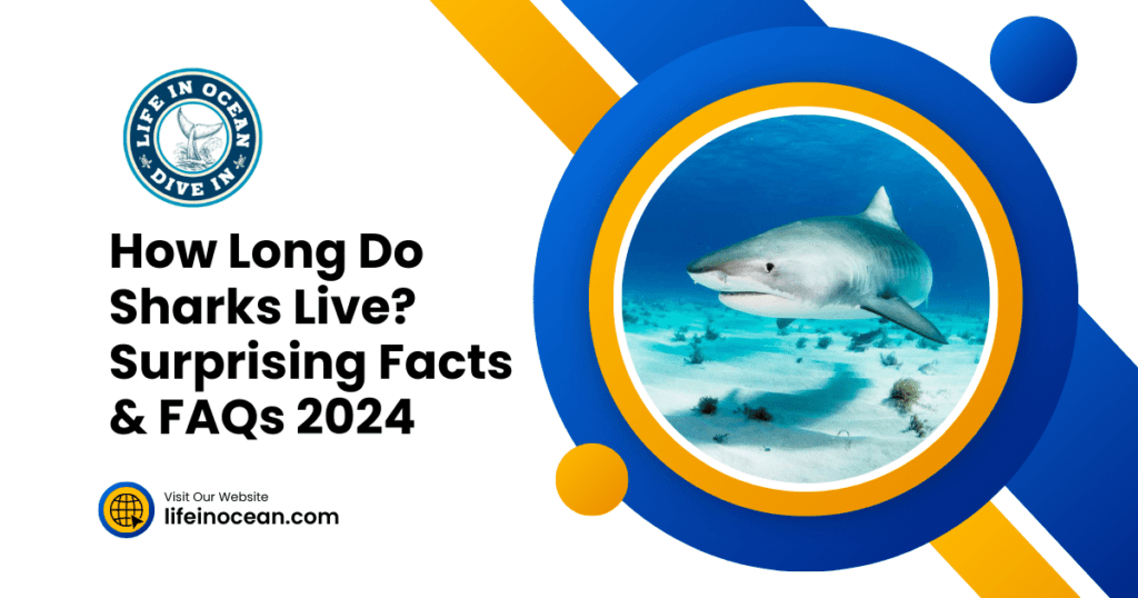 How Long Do Sharks Live? Surprising Facts & FAQs 2024