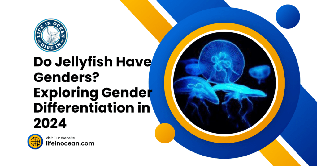 Do Jellyfish Have Genders? Exploring Gender Differentiation in 2024
