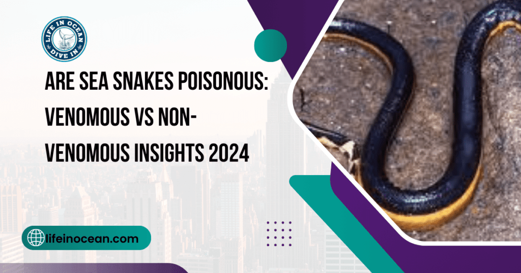 Are Sea Snakes Poisonous: Venomous vs Non-Venomous Insights 2024
