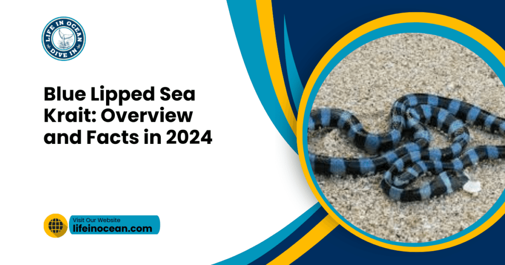 Blue Lipped Sea Krait: Overview and Facts in 2024