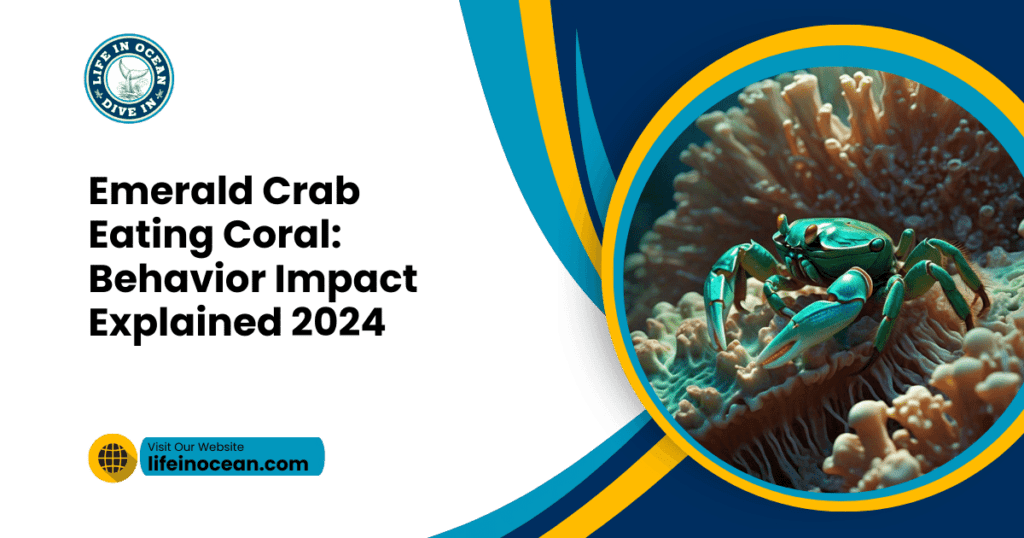 Emerald Crab Eating Coral: Behavior Impact Explained 2024