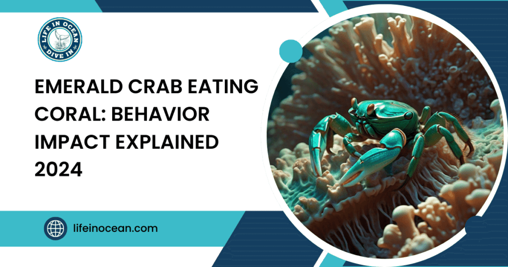 Emerald Crab Eating Coral: Behavior Impact Explained 2024
