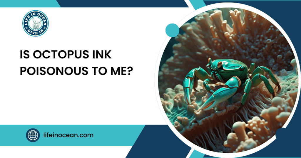 Is Octopus Ink Poisonous to Me?