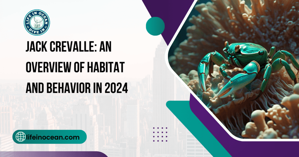 Jack Crevalle: An Overview of Habitat and Behavior in 2024
