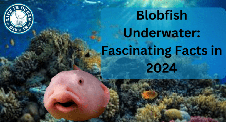 Blobfish Underwater: Fascinating Facts in 2024