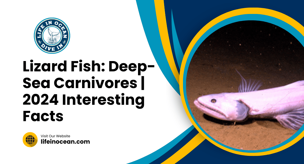 Lizard Fish: Deep-Sea Carnivores | 2024 Interesting Facts