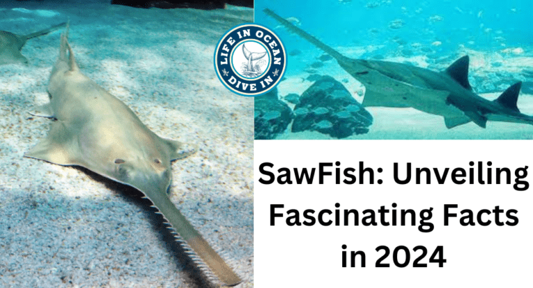 SawFish: Unveiling Fascinating Facts in 2024