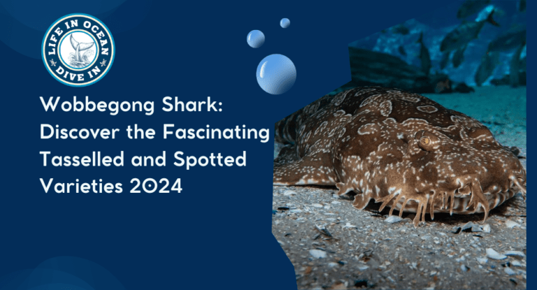 Wobbegong Shark: Discover the Fascinating Tasselled and Spotted Varieties 2024