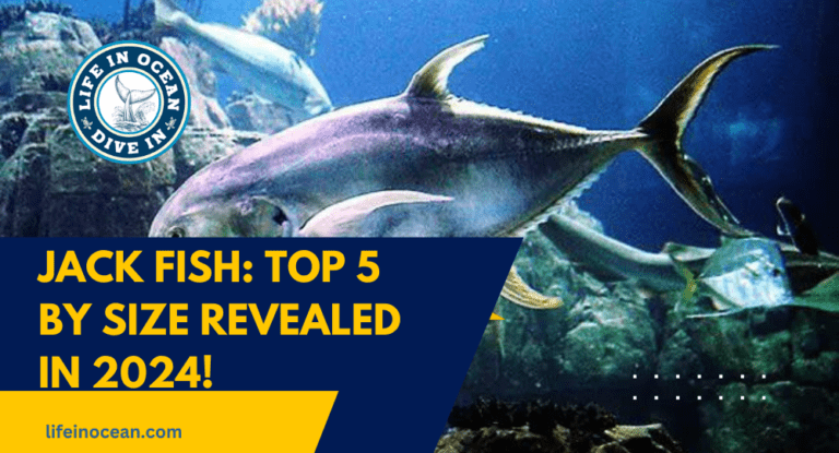 Jack Fish: Top 5 by Size Revealed in 2024!