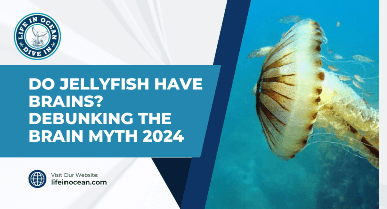 Do Jellyfish Have Brains? Debunking the Brain Myth 2024