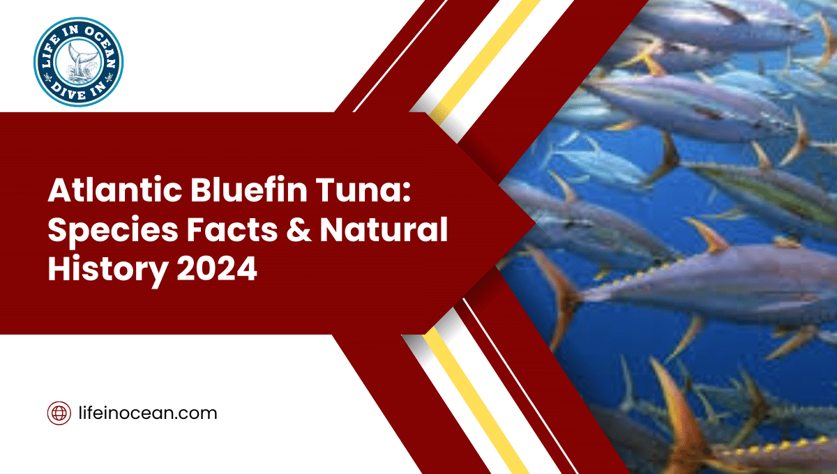 Atlantic Bluefin Tuna: Species Facts & Natural History 2024