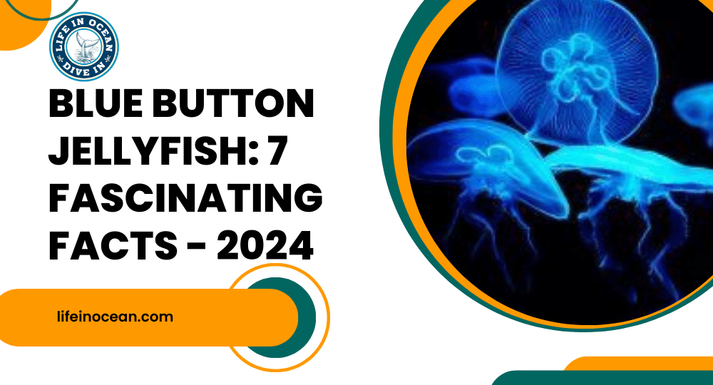 Blue Button Jellyfish: 7 Fascinating Facts - 2024