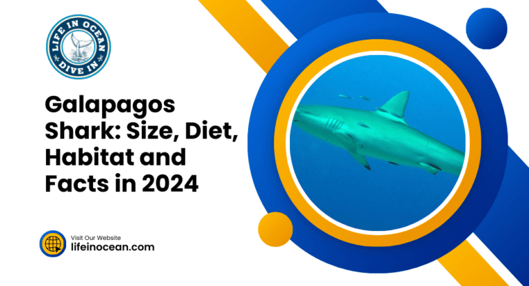 Galapagos Shark: Size, Diet, Habitat and Facts in 2024