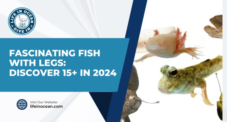 Fascinating Fish with Legs: Discover 15+ in 2024