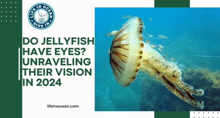 Do Jellyfish Have Eyes? Unraveling Their Vision in 2024