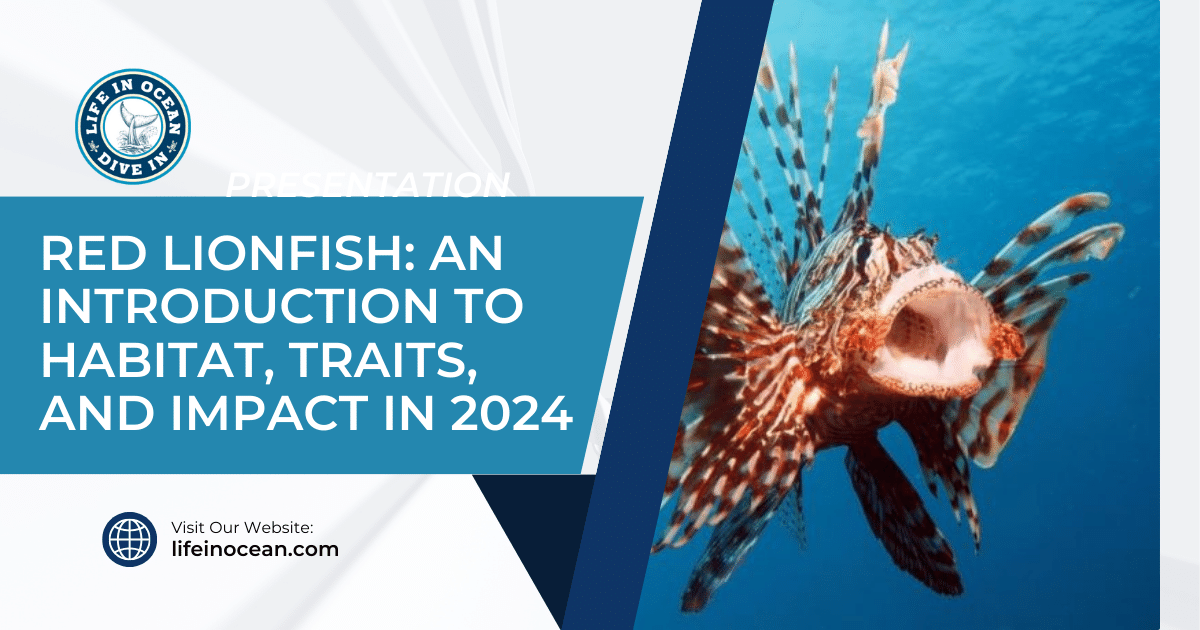 Red Lionfish: An Introduction to Habitat, Traits, and Impact in 2024