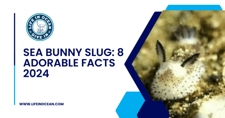 Sea Bunny Slug: 8 Adorable Facts 2024