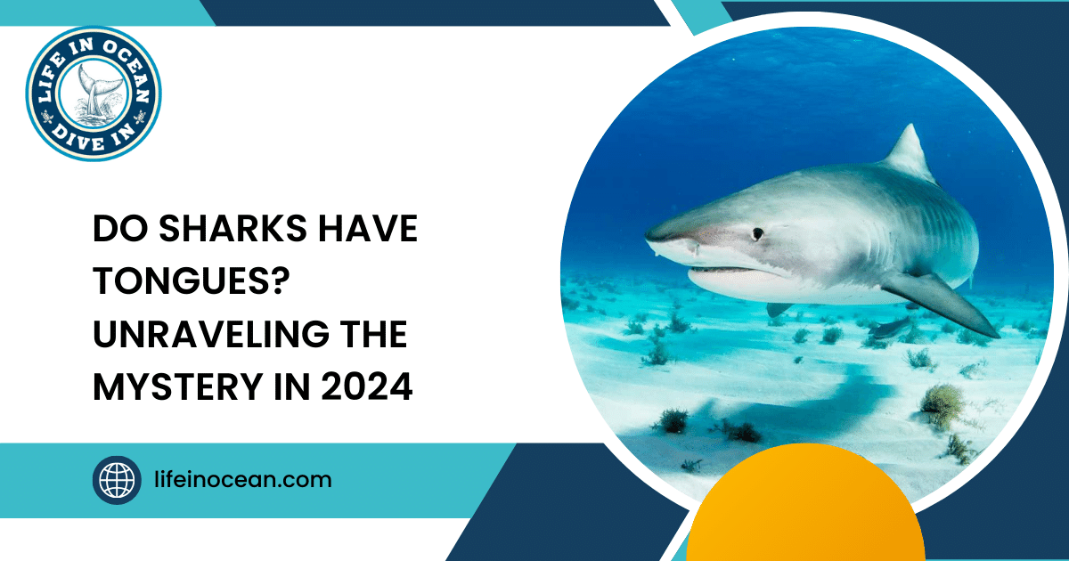 Do Sharks Have Tongues? Unraveling the Mystery in 2024