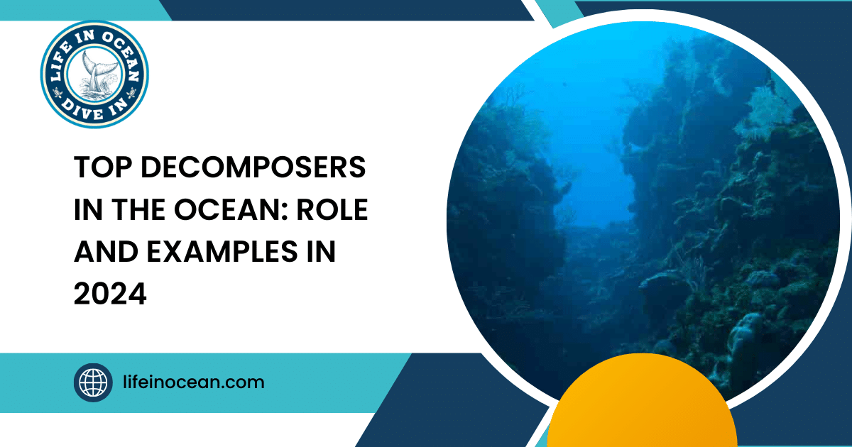 top-decomposers-in-the-ocean-role-and-examples-in-2024-life-in-ocean