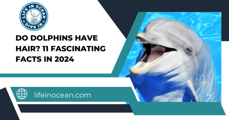 Do Dolphins Have Hair? 11 Fascinating Facts in 2024