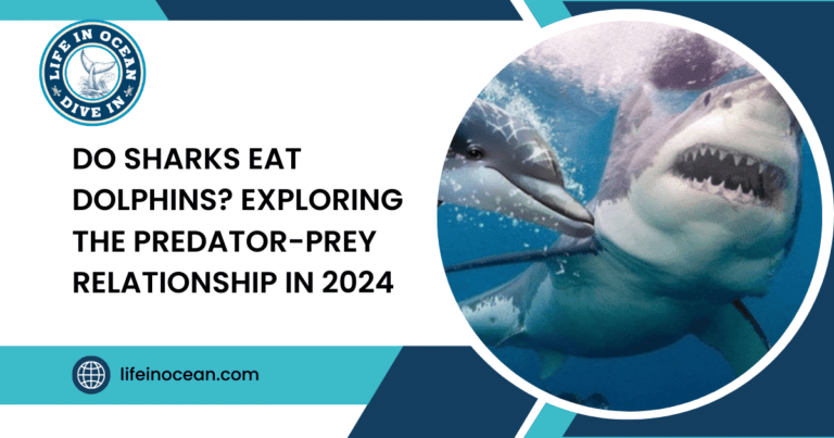 Do Sharks Eat Dolphins? Exploring the Predator-Prey Relationship in 2024