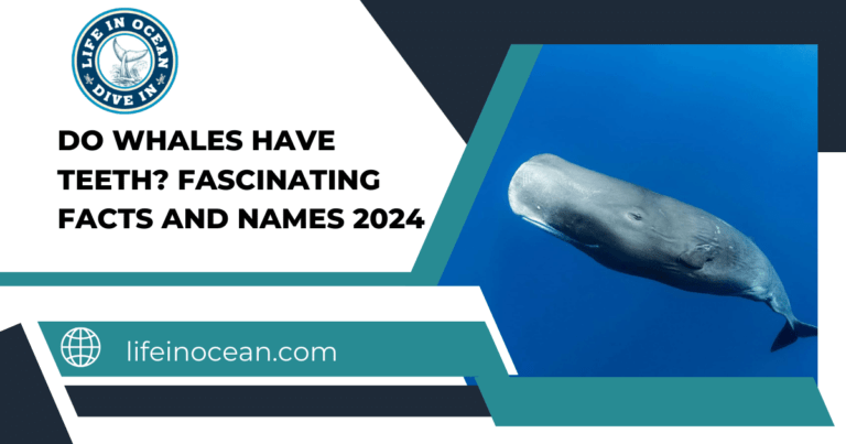 Do Whales Have Teeth? Fascinating Facts and Names 2024