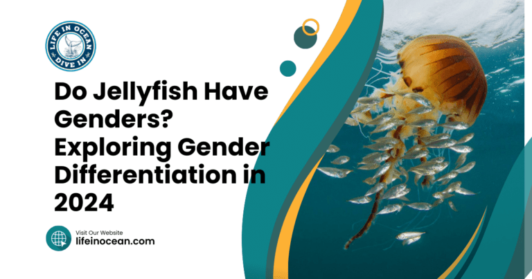 Do Jellyfish Have Genders? Exploring Gender Differentiation in 2024