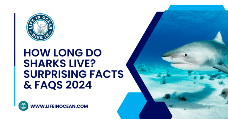 How Long Do Sharks Live? Surprising Facts & FAQs 2024