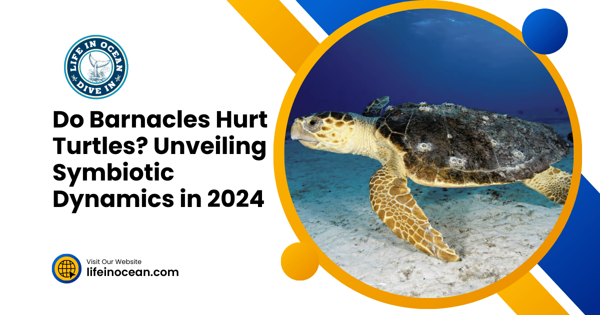 Do Barnacles Hurt Turtles? Unveiling Symbiotic Dynamics in 2024