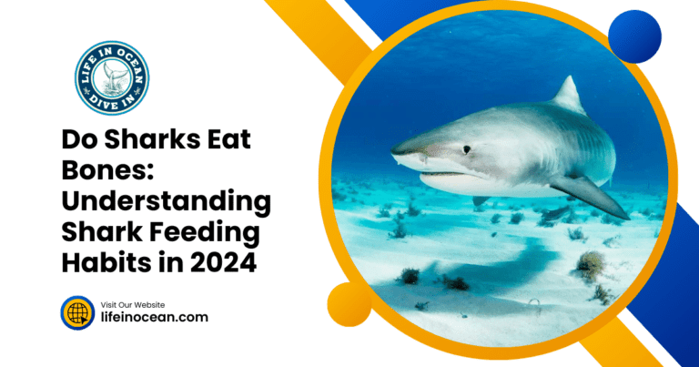 Do Sharks Eat Bones: Understanding Shark Feeding Habits in 2024